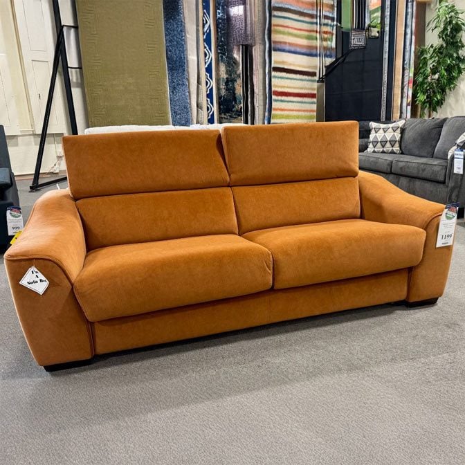 Sleeper Sofa 221